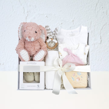 Earthside Baby Girl Hamper
