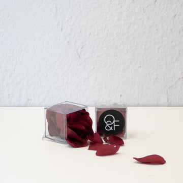 True Touch Red Rose Petal Box