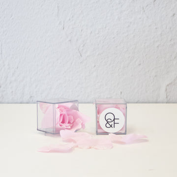 True Touch Pink Rose Petal Box