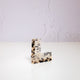 Leopard Comb - Olive and Fig Hampers and Flowers