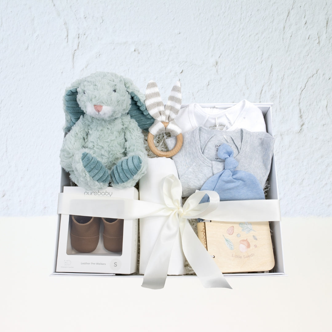 Earthside Baby Boy Hamper