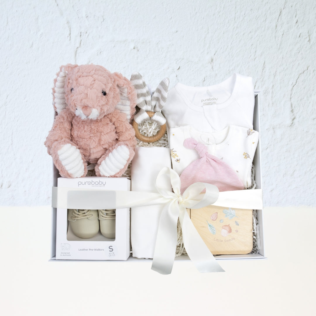 Earthside Baby Girl Hamper